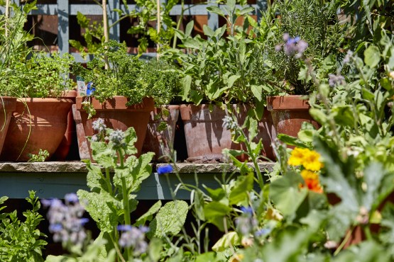 Janes Shoping Lists5673